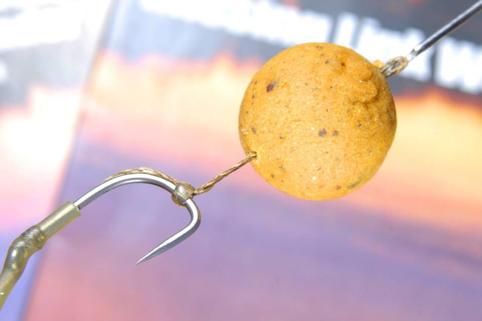 NASH - 85436074788226048951271163897n.jpg